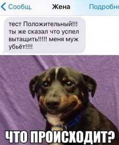 тест.jpg