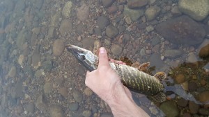 20160526_192158.jpg