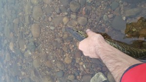 20160526_192201.jpg