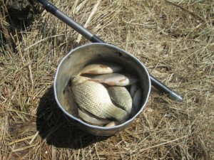 IMG_1112.JPG