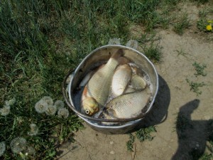 IMG_1117.JPG