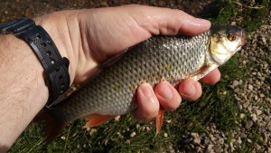 20160620_095732.jpg