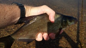 20160620_095909.jpg
