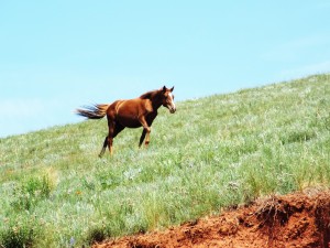 DSCF4368.JPG