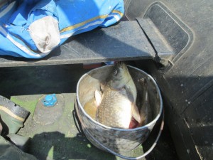 IMG_1129.JPG