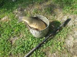 IMG_1126.JPG