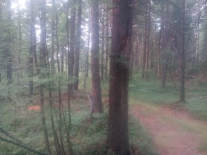IMG_20160722_183144.jpg
