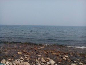 IMG_20160724_102452.jpg
