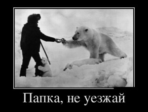 папка.jpg