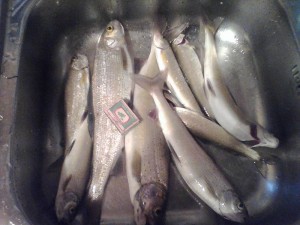 IMG_20160802_192843.jpg