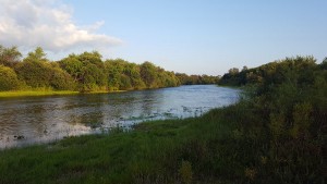 20160804_194451.jpg