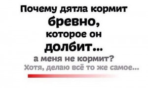 бревно.jpg