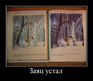 заис.jpg