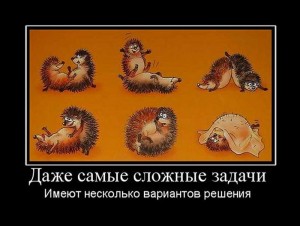 зад.jpg