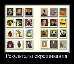 реэ.jpg