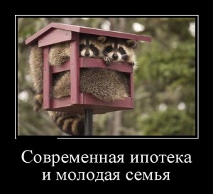 ипот.jpg