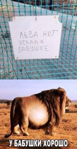 лев.jpg