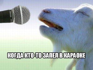 коз.jpg