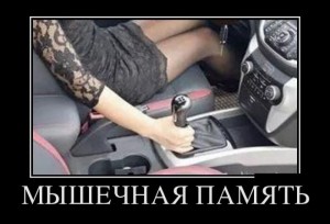 память.jpg