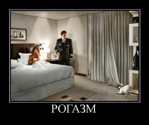рога.jpg