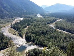 20160827_121510.jpg