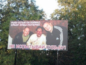 8410155.jpg