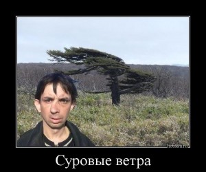 hotdem-ru-888037933053400182523.jpg