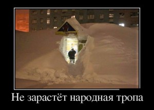 тропа.jpg