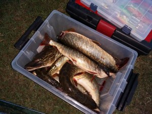 IMG-20161009-WA0025.jpg