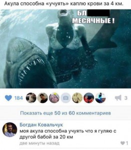 акула.jpg