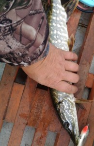 P_20161014_122730 Маяк.jpg
