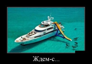 акулы.jpg