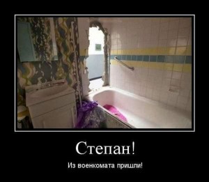 стёпа.jpg