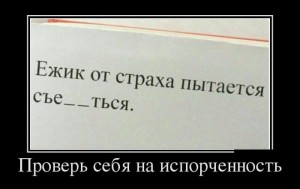 еж.jpg