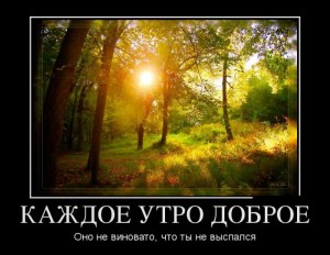 утро.jpg