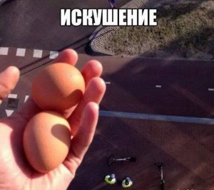 яйцо.jpg