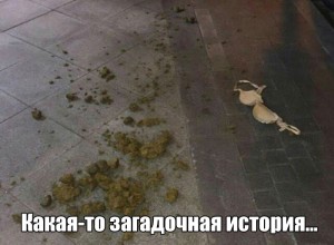 в натуре.jpg