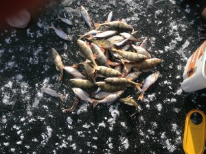 IMG_0308.JPG