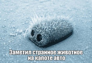 йожег.jpg
