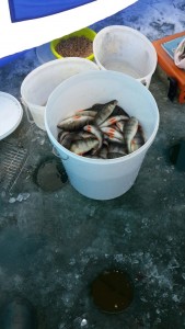 IMG-20161102-WA0007.jpg