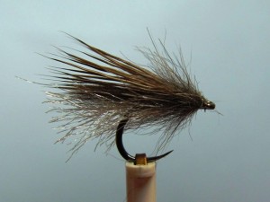 Backstop Caddis.jpg