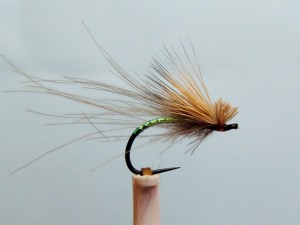 CDC&Elk Flash.jpg