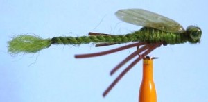 Dragonfly.jpg