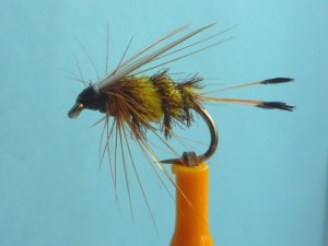 Tellico Original.JPG