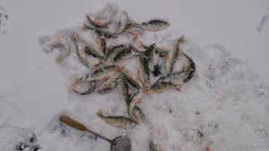 DSC_0596.JPG