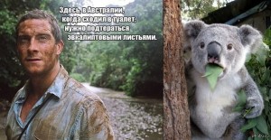 фуу.jpg