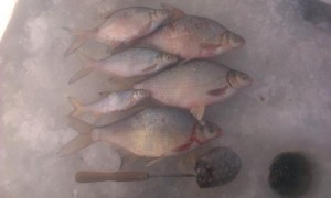 IMAG1229_BURST001.jpg
