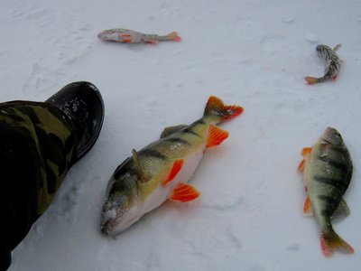 провал 2010 006.jpg