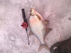 IMG_0337.JPG