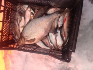 IMG_0338.JPG